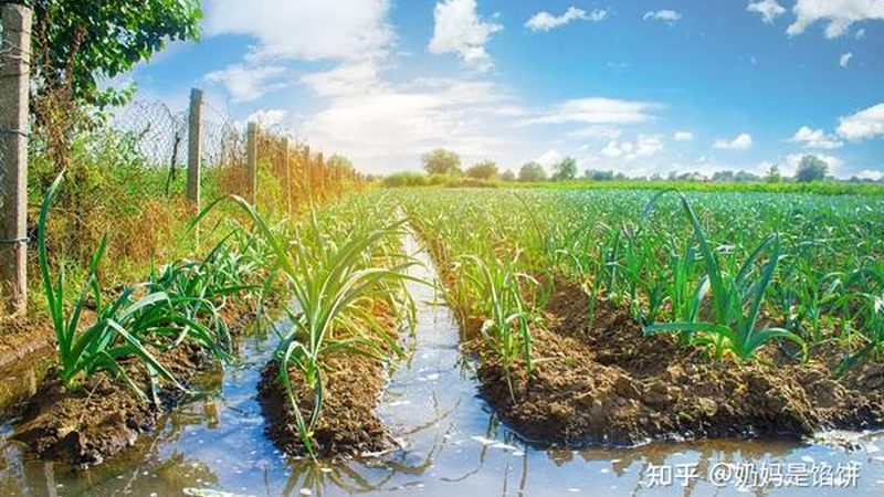 行业背景：节水农业的必然趋势