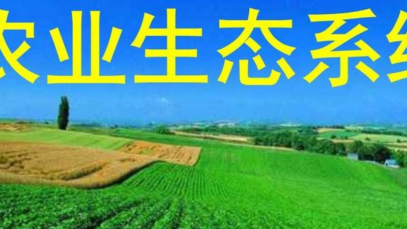 新手种果树多久浇水一次