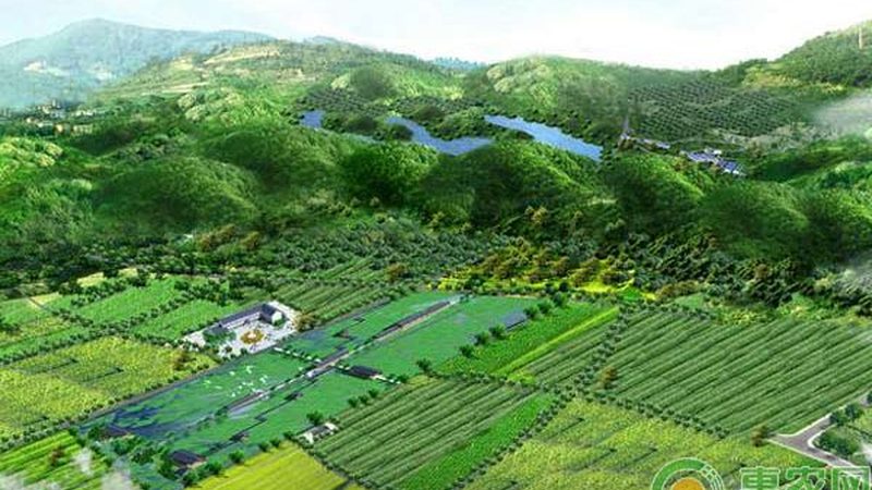 新手农业种植入门：注意事项与技巧解析