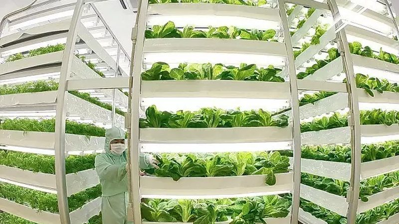揭秘农资肥料真假辨别：加盟代理的五大关键点