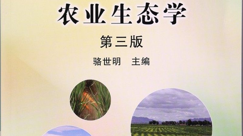 粮食种植每亩补贴后的成本真相揭秘**