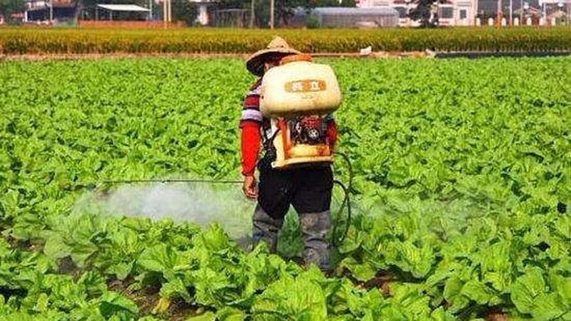 上海家庭农场选址：避开这些误区，打造高效生态农业**