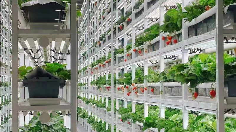 杭州绿色食品生产资质和标准