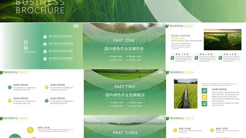 农民专业合作社设立登记：关键步骤与注意事项**